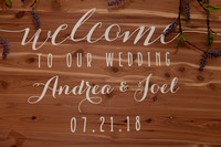 Andrea & Joel Wedding ~ Final Galleries