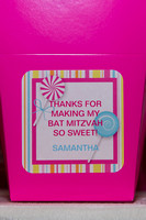 Samantha G's Bat Mitzvah Celebration Night Details @ Bethesda Hyatt